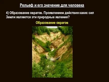 Какое действие человека препятствует образованию оврагов