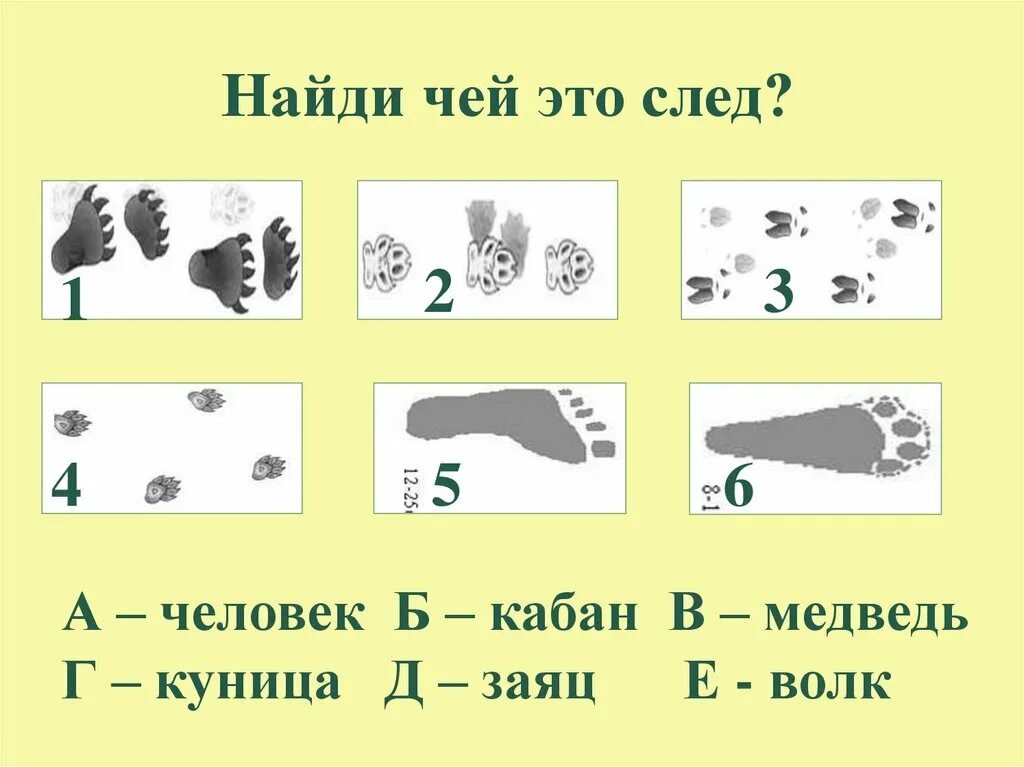 Следу задание. Чьи следы?. Задание чьи следы. Найди чей след. Чьи следы на снегу с ответами.