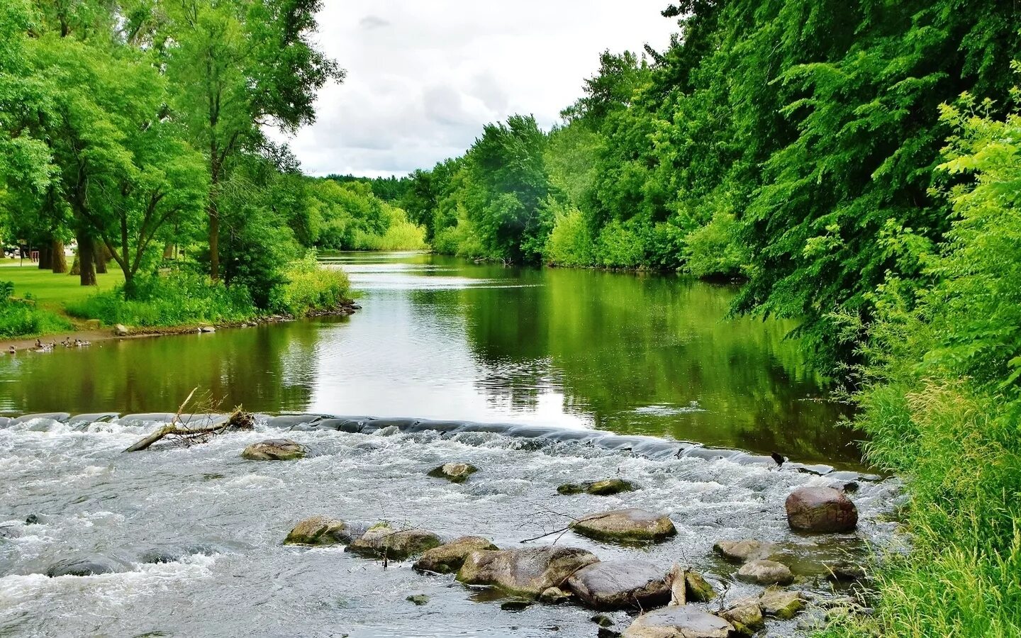Места стоянки щуки на реке летом. Схема реки исток русло устье. Река волга можга. Где найти речку. Перспективные места на реке.