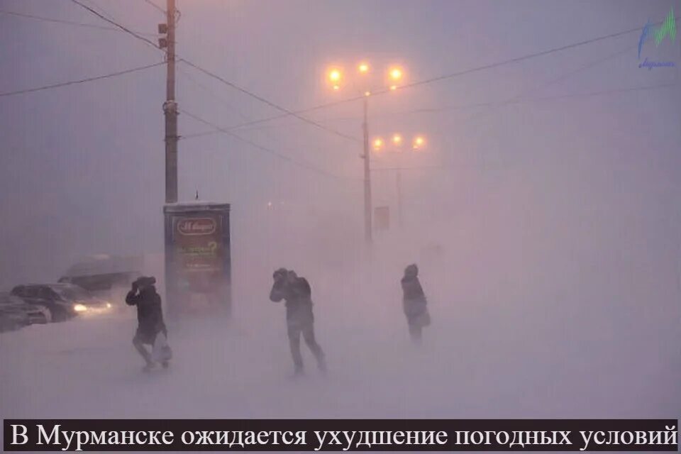 Метель в Мурманске. Сильная метель. Пурга Мурманск. Сильный ветер зимой. Что то страшное пришло со снегом название