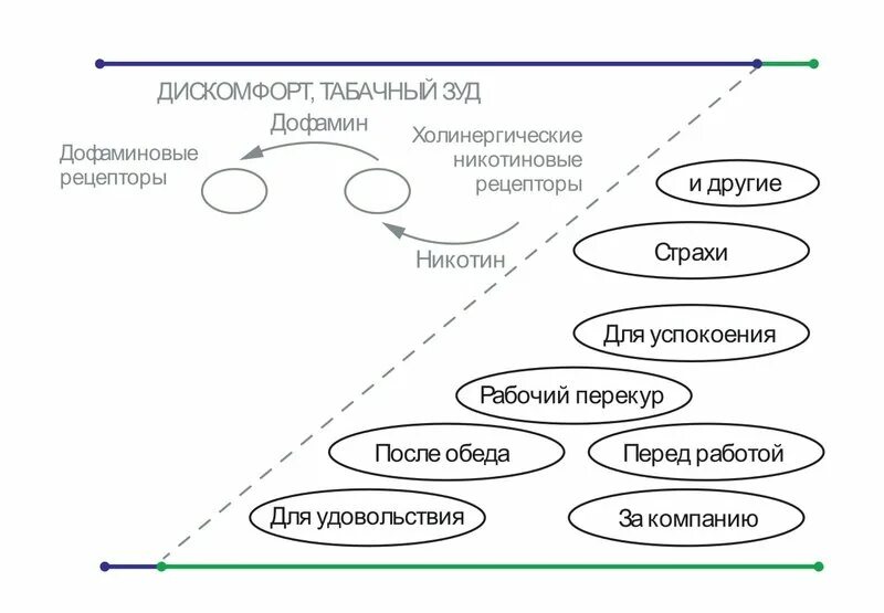 Кудряшов схема табачный зависимости. Кудряшов бросаем курить за два вечера