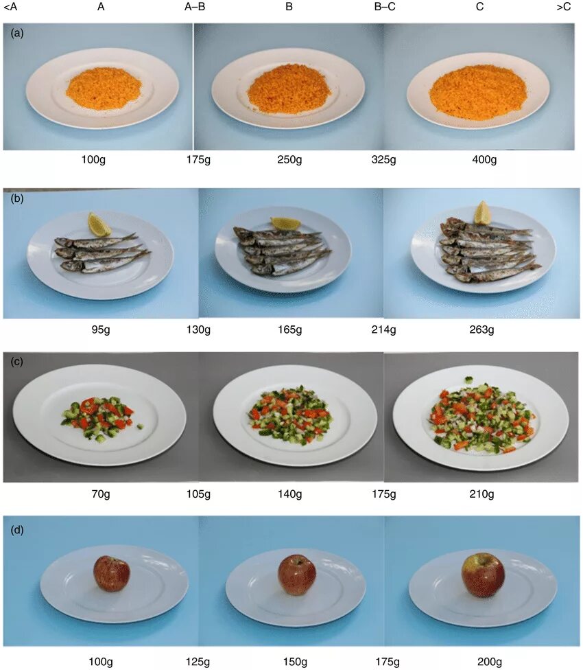 Порция еды сколько грамм. Порция супа 250 грамм. Тарелки по граммам. Еда по граммам на тарелке. Порция тарелки в граммах.