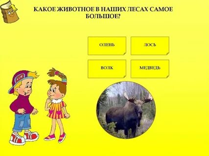 Какой зверь 2014