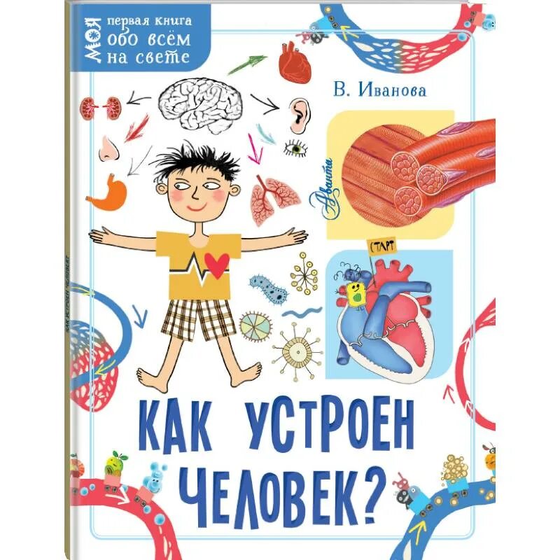 Картинка как устроен человек. Как устроен человек книга. как устроен человек книга для детей. как устроен человек для детей. занимательная анатомия для детей.