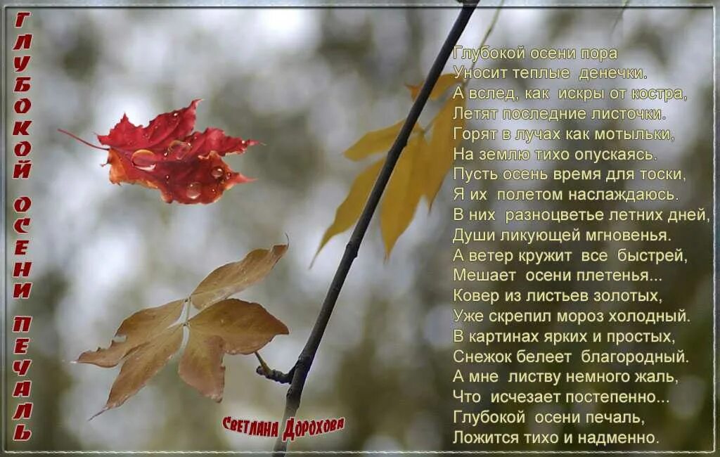 Порой высокие тополя шумно вздохнул взбудораженной