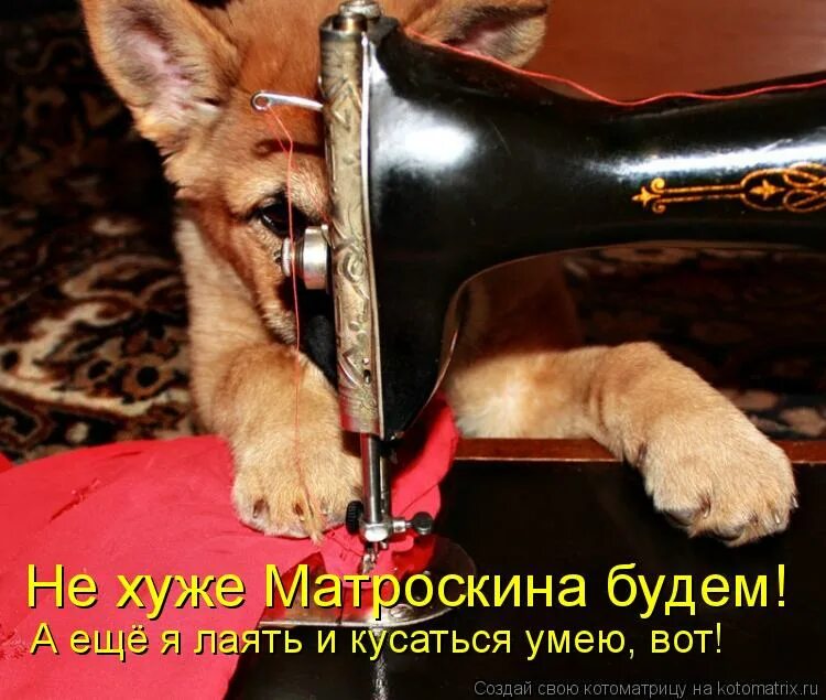 Умей не только брать но и отдавать