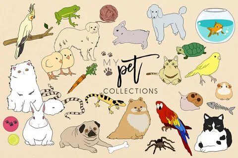 My pet animal