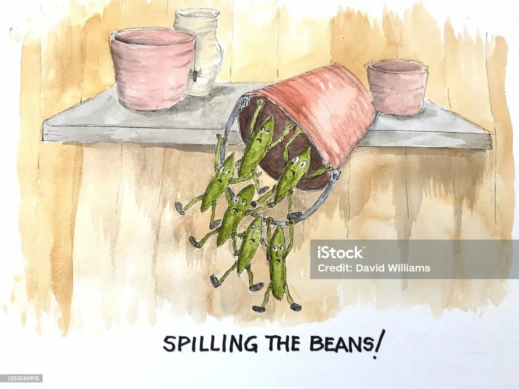 Spill the beans. Боб ведро арт. Spill the Beans идиома.