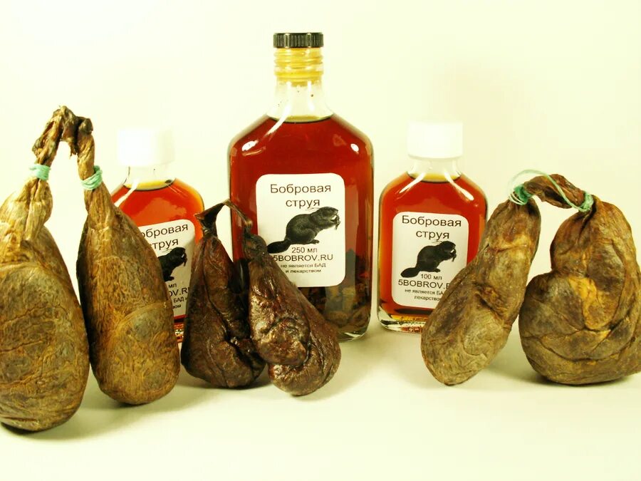 Струя бобра таблетки. Бобриная струя это. Бобриная струя это. Бобриная струя это. Бобриная струя это.