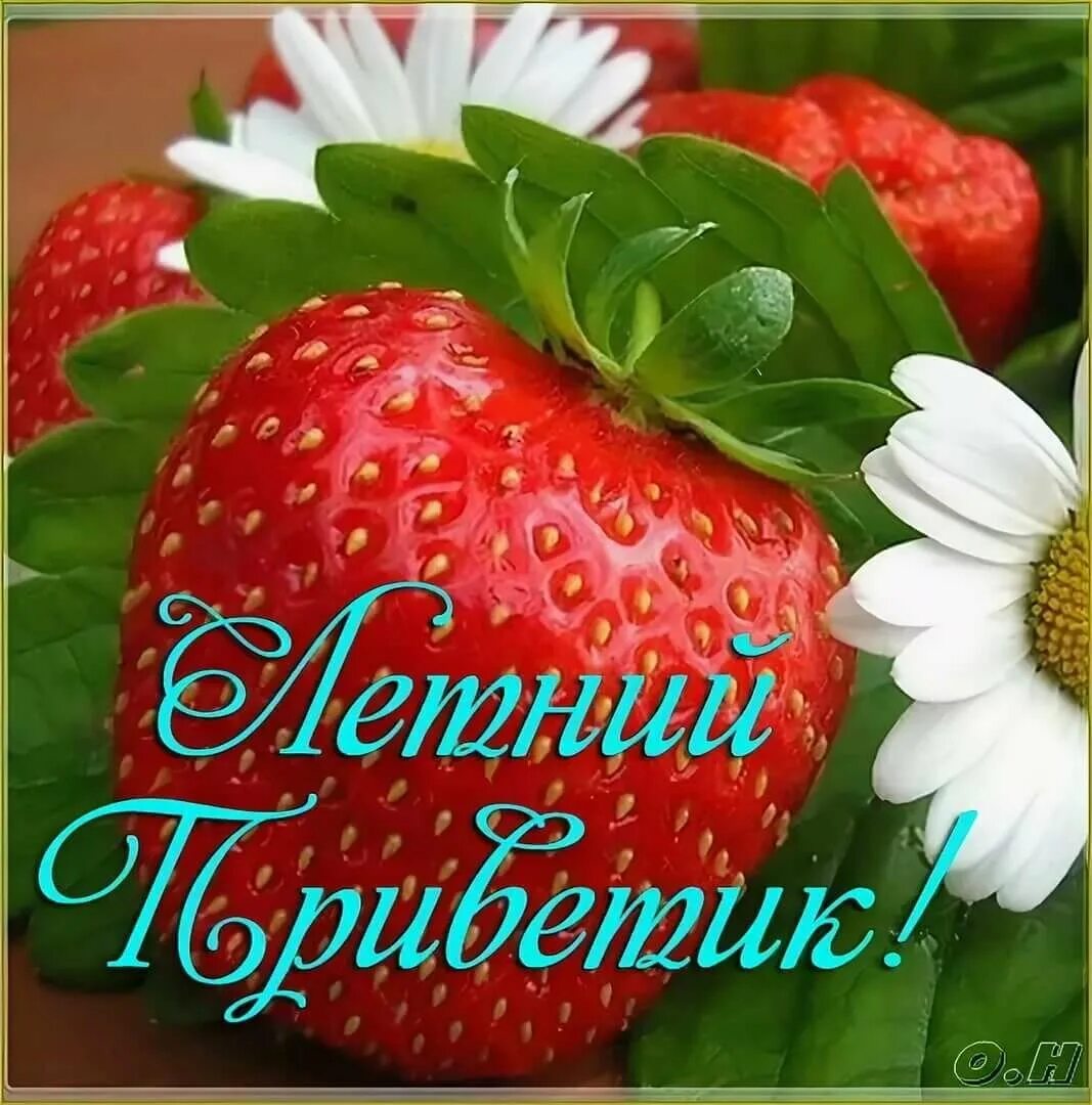 Июльский приветик. Июльский привет открытки. Июльский приветик. Поздравления с первым июля. Июльский приветик.