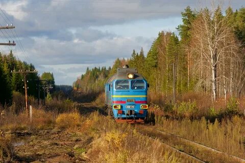 Кабожа новгородская область