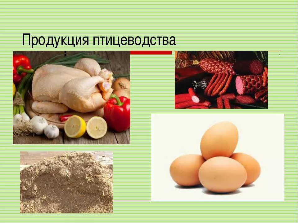 продукция мясного скотоводства. продукты животноводства третий класс. птицеводство презентация. получение продукции животноводства. животноводческая продукция.