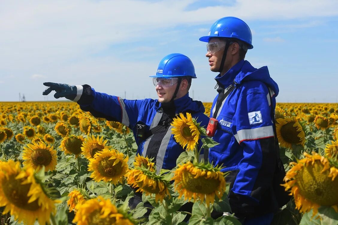 Эколог фото. Эколог газпромнефть оренбург. профессия эколог. инженер эколог. эхолок.