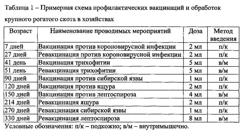 Вакцинация животных 2024 график. Схема профилактических прививок для телят. Схема вакцинации КРС. Схемы вакцинации крупного рогатого скота. Схема вакцинации КРС на год.