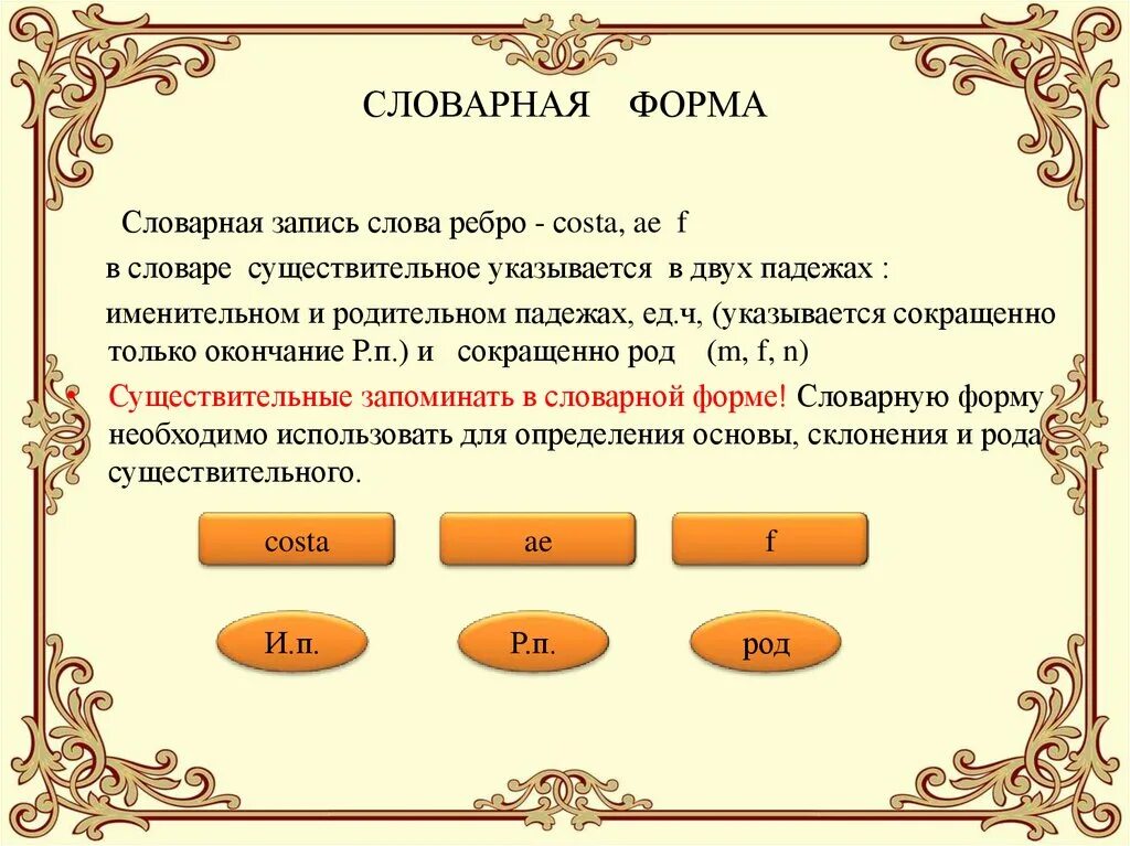 Слово вид это существительное. Словарная форма. Словарная форма существительных. Словарная форма слова это. Записать в словарной форме.