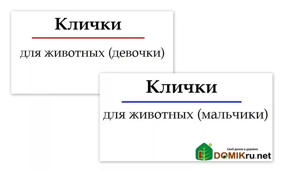 Страница кличка. Клички животных. Имена коров. Имена для телят. Кличка теленка.