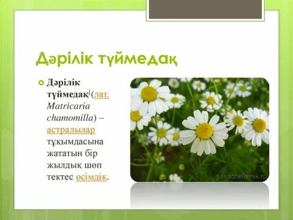 Қыз порно көріп ұйықтап қалды