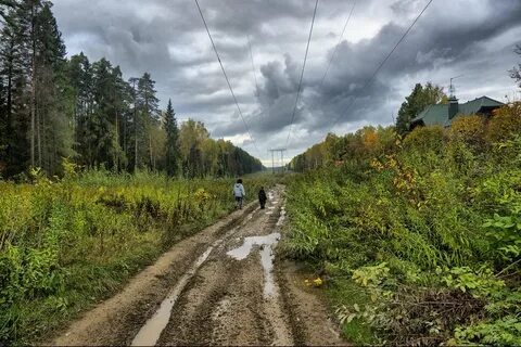 Погода колею