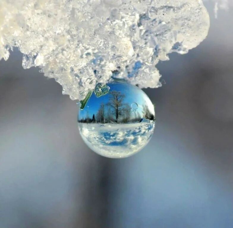 Картинка необычный зима. Зима волшебство. Зимнее чудо. Снежное чудо. Чудеса зимы.