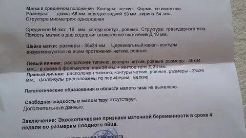 Матка 6 недель что это значит