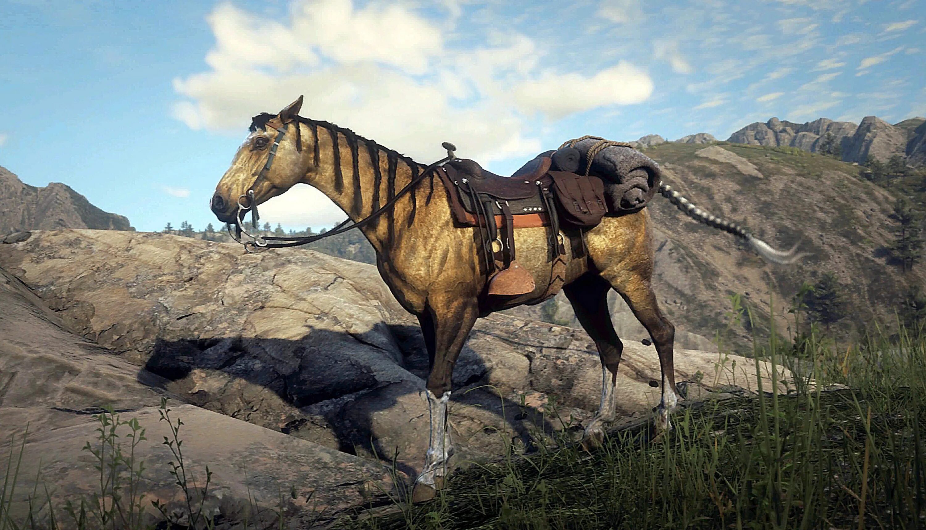 Кони в рдр 2. Ахалтекинская лошадь Red Dead. Red Dead Redemption 2 Turkoman Horse. Red Dead Redemption 2 Ахалтекинская лошадь. Лошади в ред деад редемптион 2.