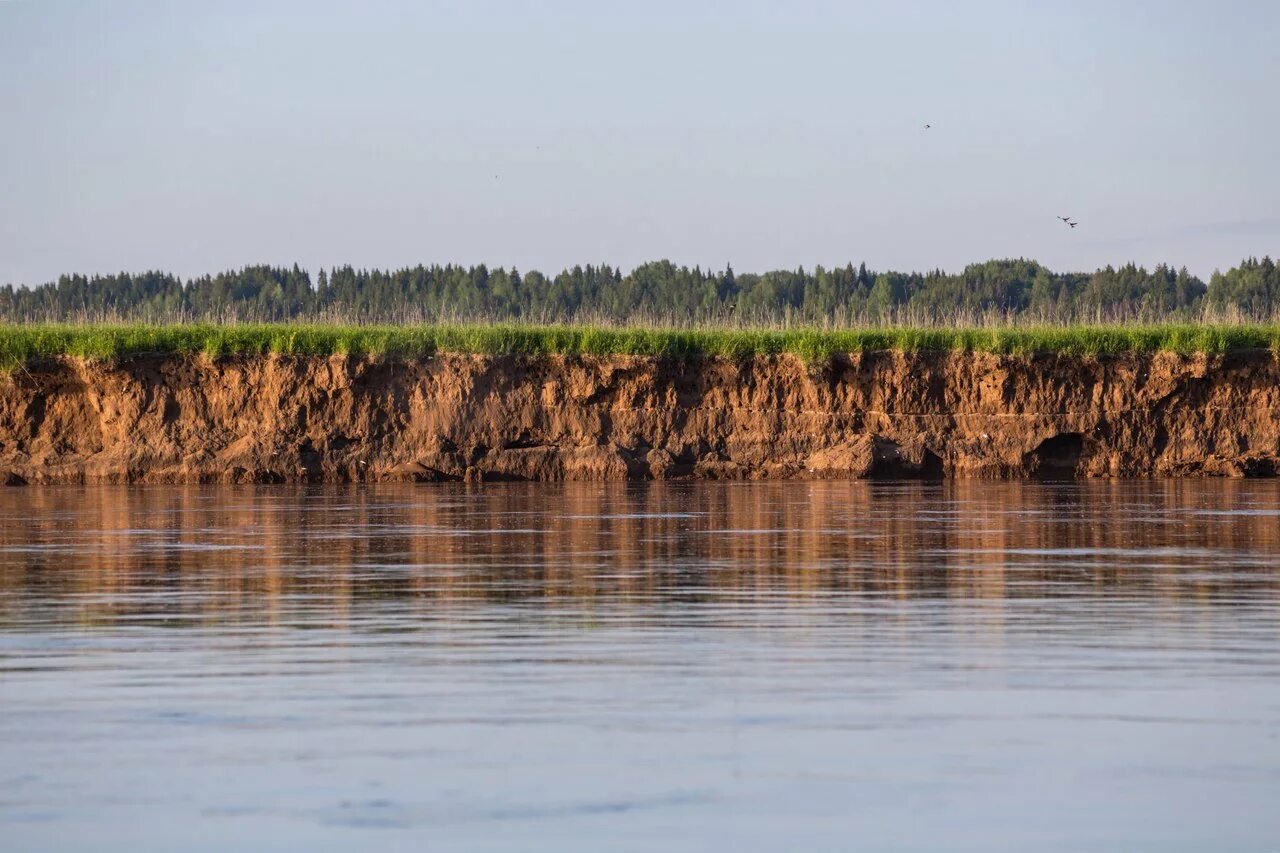 Речка Юг в Нижегородской области. Сухона и Юг. Река Юг Чкаловский район. Мыс бык Великоустюгский район.