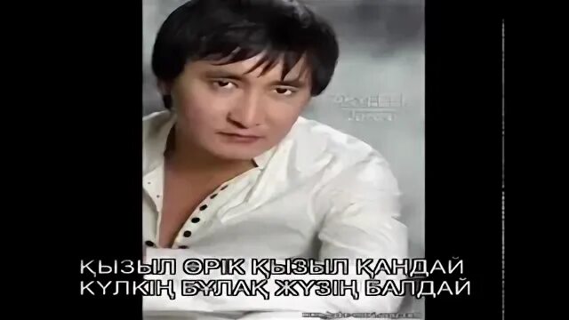 Кызыл орик