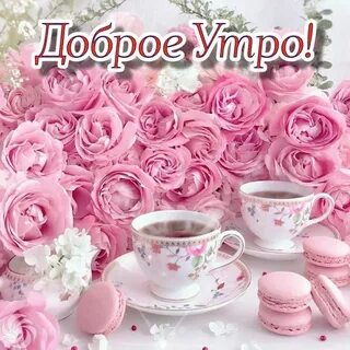 Доброе утро нежные розы