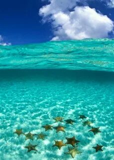 Успокаивающая вода