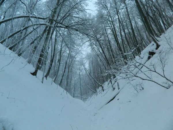 гибель дятлова схема. голосов овраг в коломенском зимой. небольшой овраг провал между сугробами. буерак сухой овраг. небольшой овраг провал между сугробами.