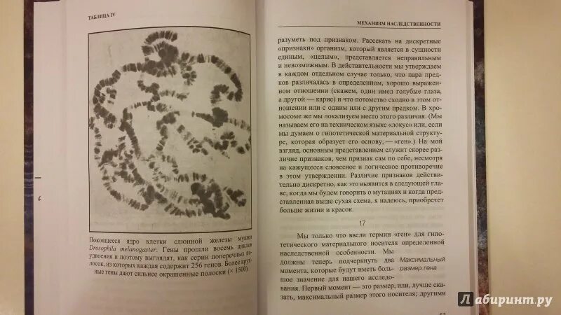 Шредингер жизнь с точки зрения физики. Шредингер жизнь с точки зрения физики