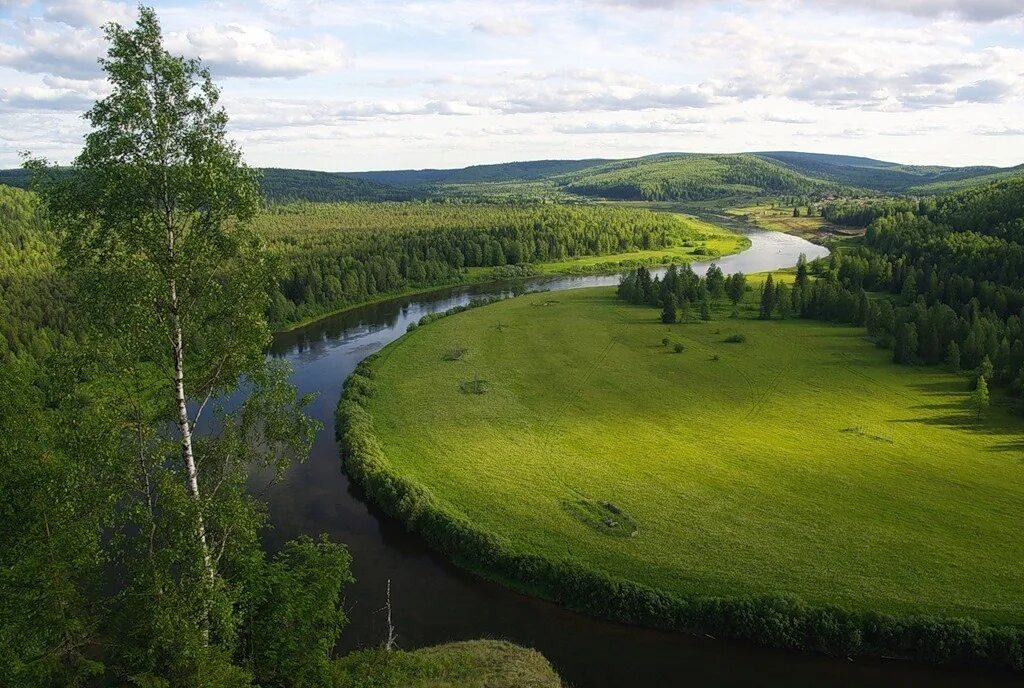 Россия пермская область. Россия, Пермский край, река Березовая. Река Колва Пермский край. Река Колва Коми. Природа Пермского края река Березовая.