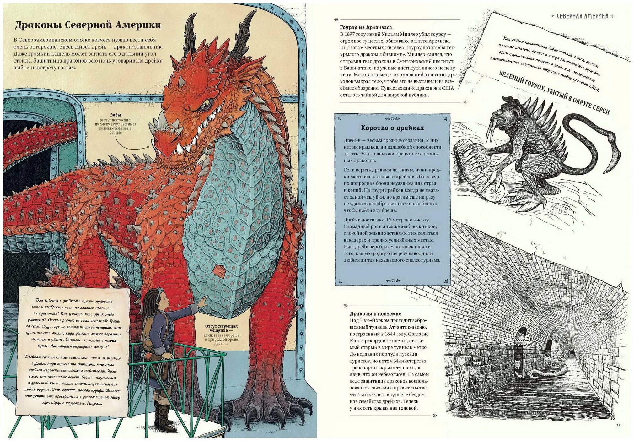 трейси шевалье книги. драконы. удивительные создания книга. шевалье удивительные создания книга. драконы.