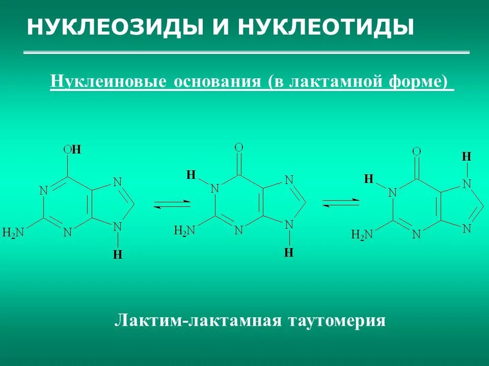 Комплементарные пары нуклеотидов. Структура нуклеиновых кислот. Нуклеиновые кислоты строение нуклеотида. Пуриновые основания в лактим-лактамной формах.