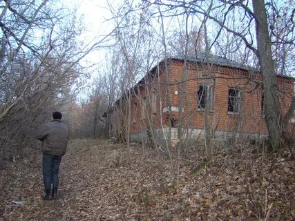Деревня томилино