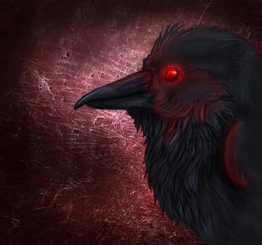 Raven Nevermore. Варенган ворон. Ворона Шисуи. Crow steam