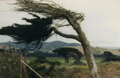 High winds
