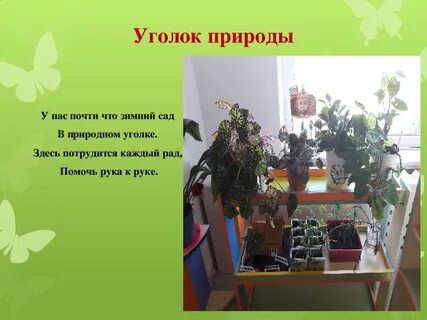 В школьном уголке природы 3