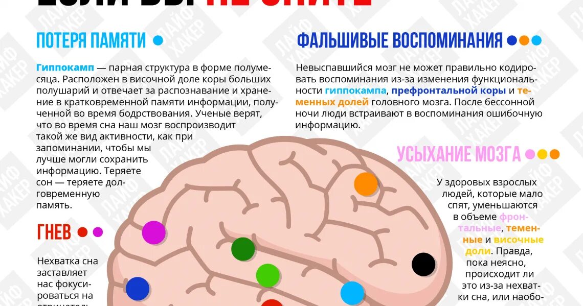 Отдыхает ли мозг. Активность мозга. Активность мозга во сне. Мозг ребенка. Мозг во время сна.