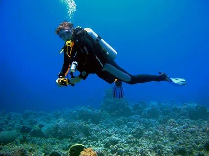 Scuba перевод