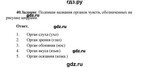 Стр 26 ответ