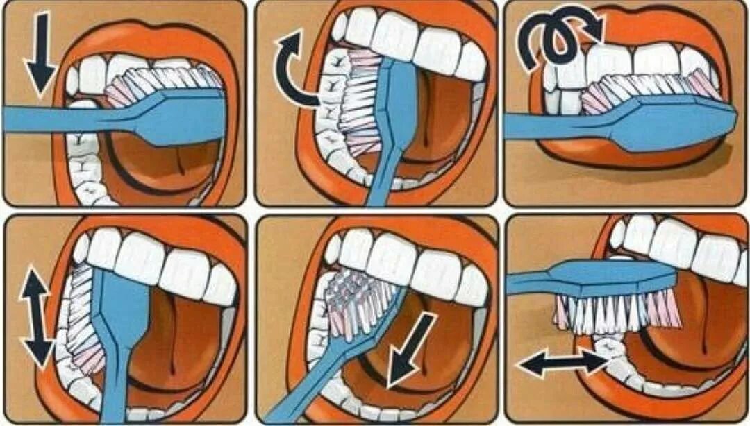 Схема правильной чистки зубов. Правельна схема чистки зубов. Как правильно чистить зубы. Алгоритм чистки зубов для детей. Можно ли чистить зубы ребенку