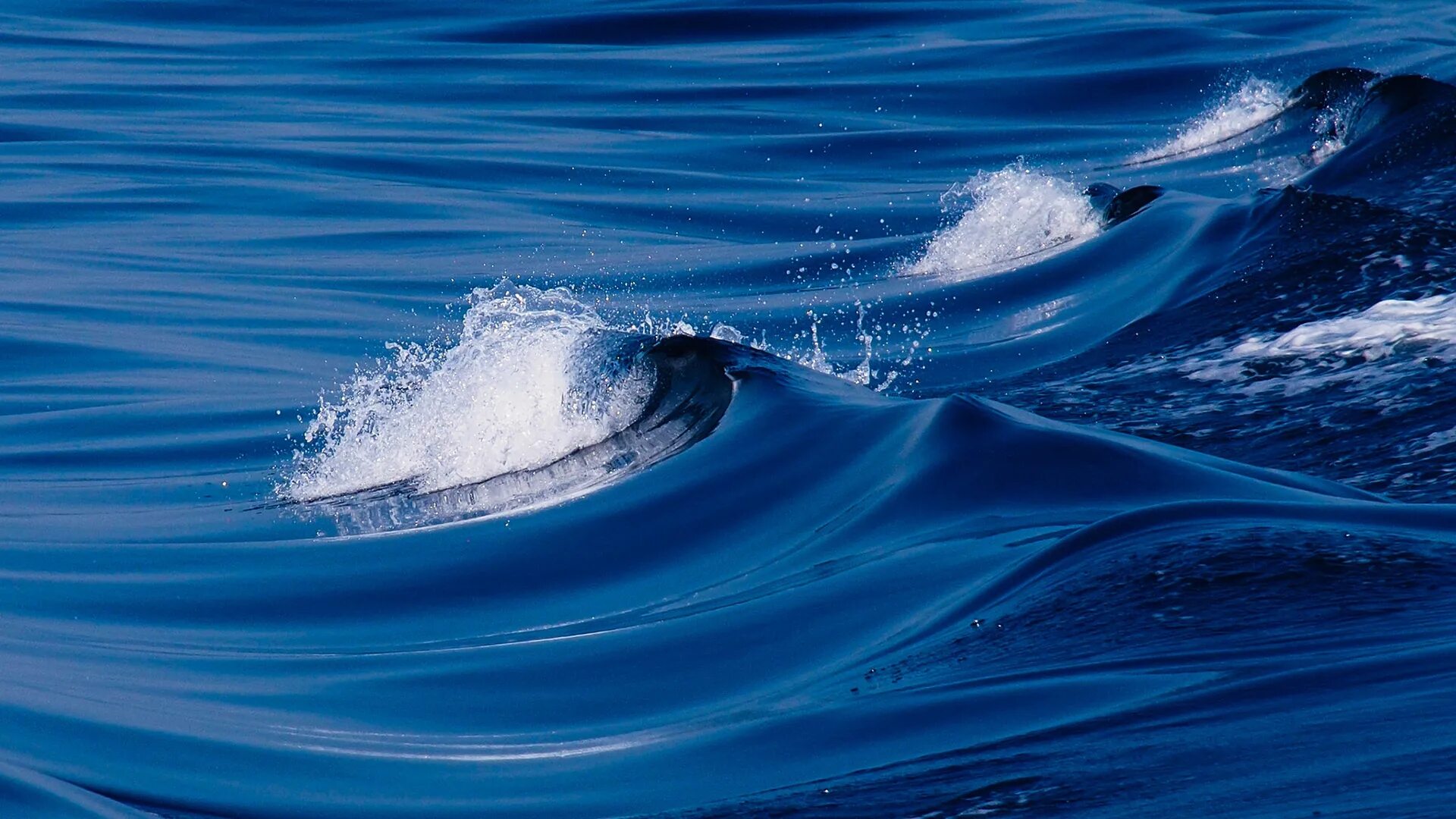 круги на воде. волны на поверхности жидкости являются. распространение волн в жидкостях. вода в природе. волны на поверхности жидкости.