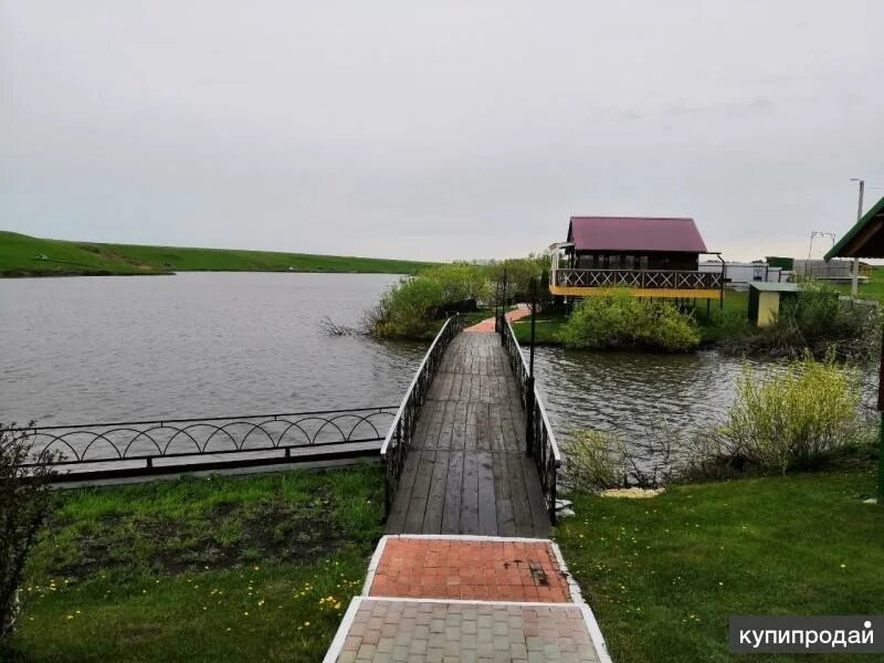 Фото: Пляж, пляж, Пензенский район, Богословский сельсовет, село Богословка - Ян
