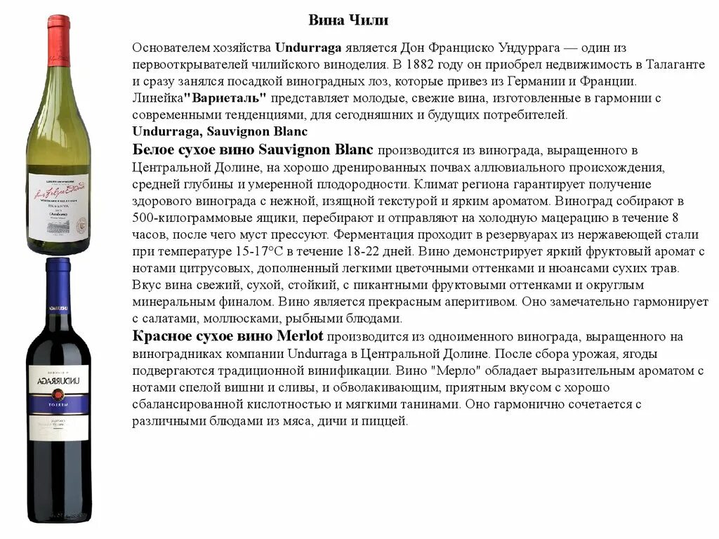 Вина является. Классификация вин Чили. Классификация чилийских вин по категориям. Вина производства Чили. Вино категории Чили.