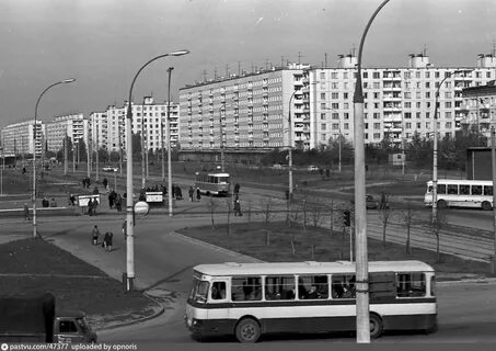 История 1980 года