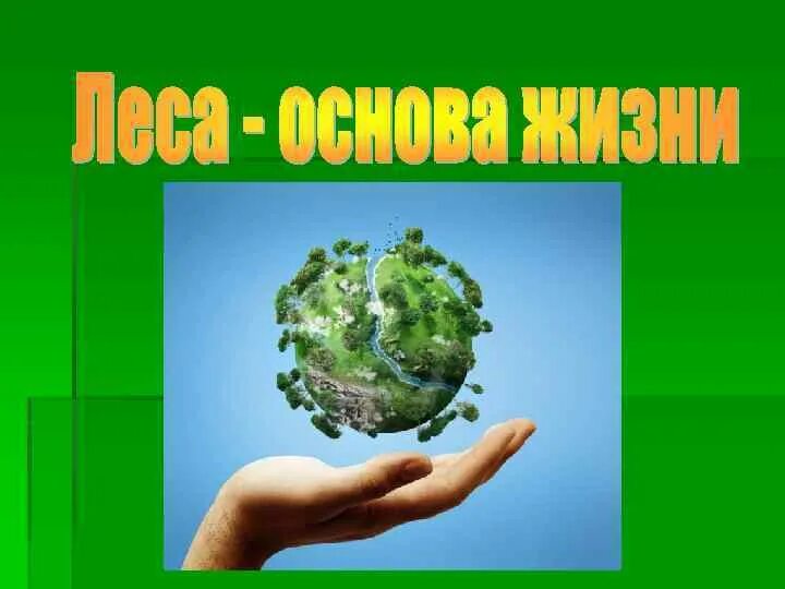 Международный день леса. Презентация всемирный день леса. Презентация всемирный день леса. Презентация всемирный день леса. Презентация всемирный день леса.