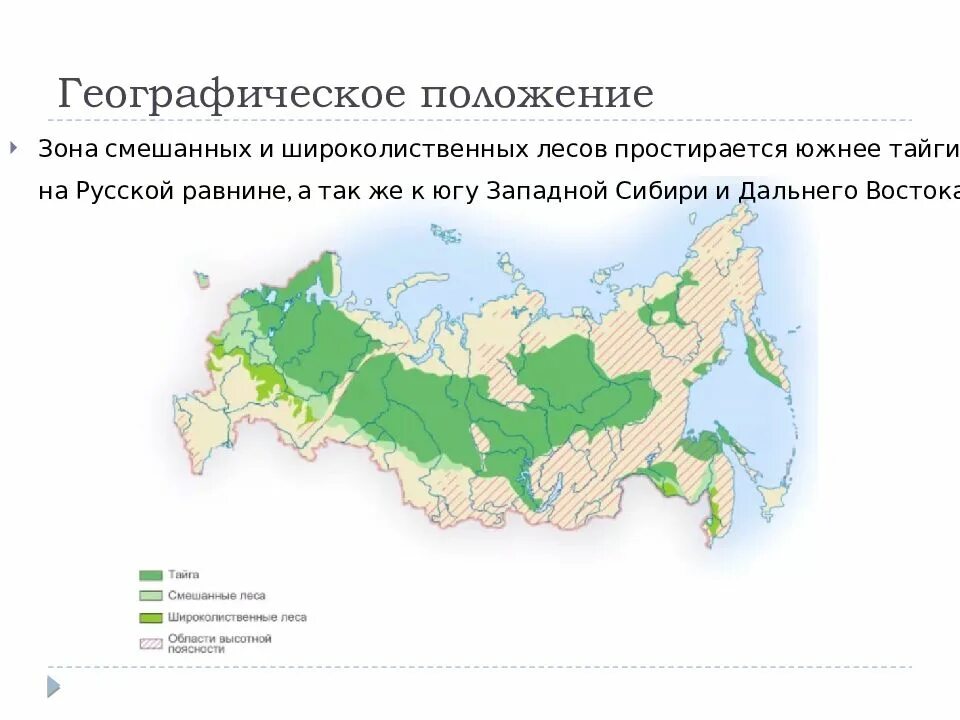 Смешанные леса местоположение. Географическое положение зоны широколиственных лесов в России. Где находятся смешанные и широколиственные леса на карте России. Смешанные и широколиственные леса на карте России. Смешанные и широколиственные леса географическое положение в России.