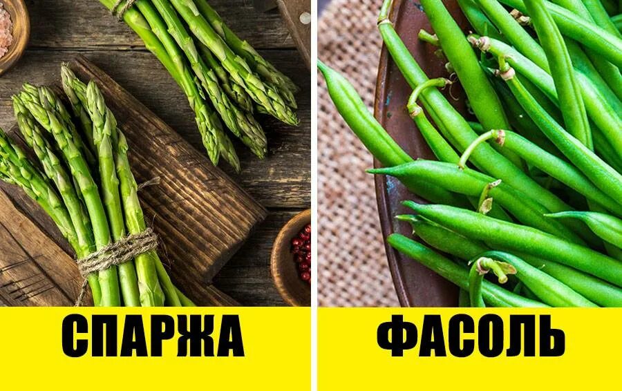 Чем отличается спаржевая фасоль от стручковой фасоли. Спаржа и спаржевая фасоль. фасоль стручковая спаржевая. спаржа фасоль стручковая. зеленая стручковая спаржа.