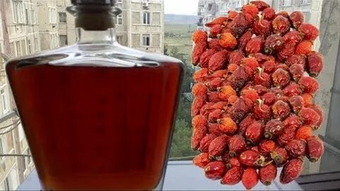 Настоять самогон на шиповнике